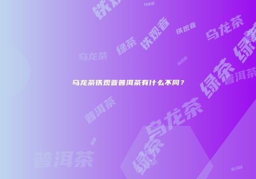 乌龙茶铁观音普洱茶有什么不同？