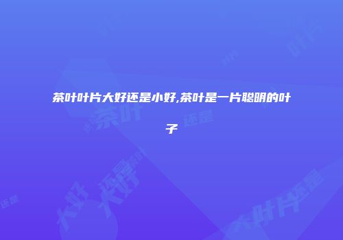 茶叶叶片大好还是小好,茶叶是一片聪明的叶子