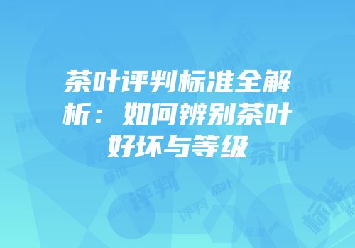 茶叶评判标准全解析：如何辨别茶叶好坏与等级