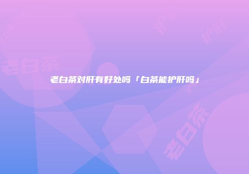 老白茶对肝有好处吗「白茶能护肝吗」