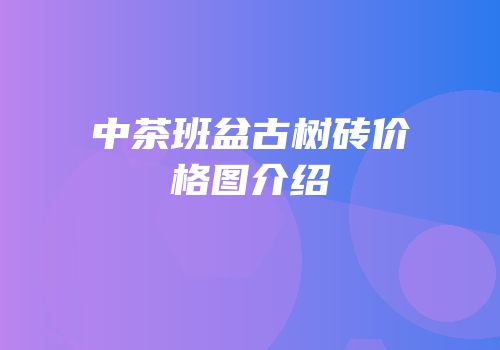 中茶班盆古树砖价格图介绍