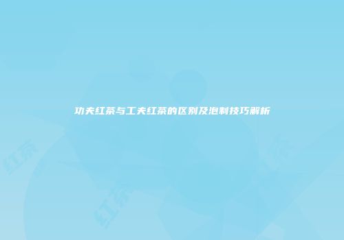 功夫红茶与工夫红茶的区别及泡制技巧解析