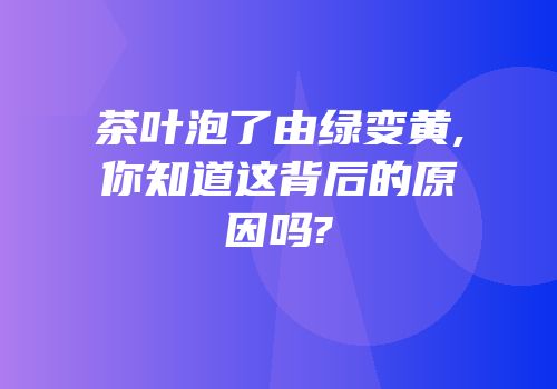 茶叶泡了由绿变黄,你知道这背后的原因吗?