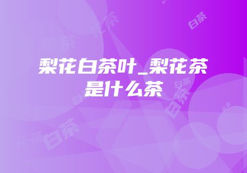 梨花白茶叶_梨花茶是什么茶