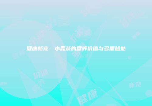 健康新宠：小麦茶的营养价值与多重益处