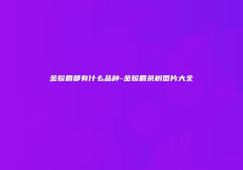金骏眉都有什么品种-金骏眉茶树图片大全