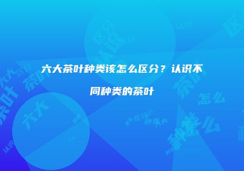 六大茶叶种类该怎么区分？认识不同种类的茶叶