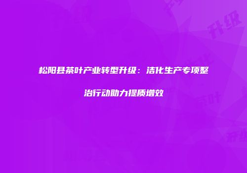 松阳县茶叶产业转型升级：洁化生产专项整治行动助力提质增效