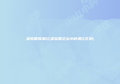 金骏眉和滇红(金骏眉正山小种滇红区别)