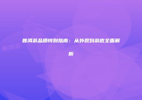 普洱茶品质辨别指南：从外观到茶底全面解析