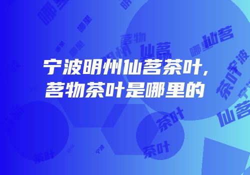 宁波明州仙茗茶叶,茗物茶叶是哪里的