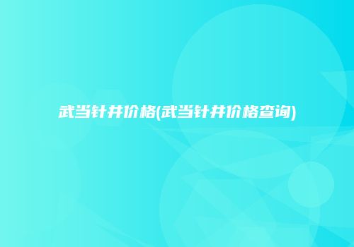武当针井价格(武当针井价格查询)