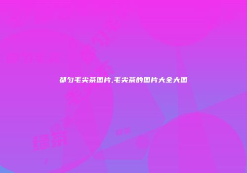 都匀毛尖茶图片,毛尖茶的图片大全大图