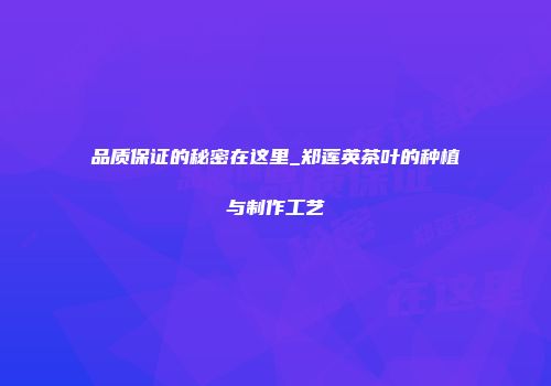 品质保证的秘密在这里_郑莲英茶叶的种植与制作工艺