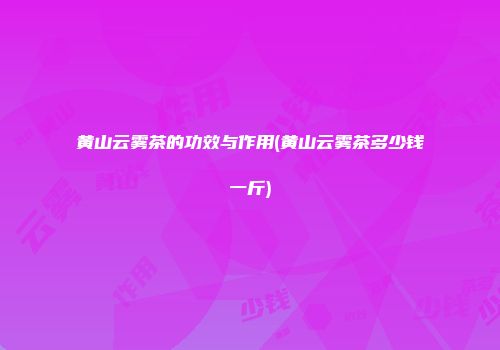黄山云雾茶的功效与作用(黄山云雾茶多少钱一斤)