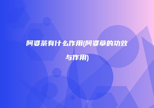 阿婆茶有什么作用(阿婆草的功效与作用)