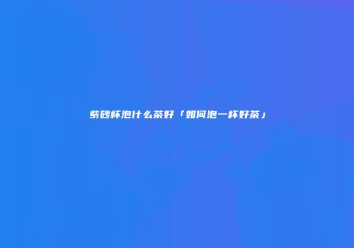 紫砂杯泡什么茶好「如何泡一杯好茶」