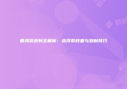 普洱茶泡制全解析：选择紫砂壶与泡制技巧