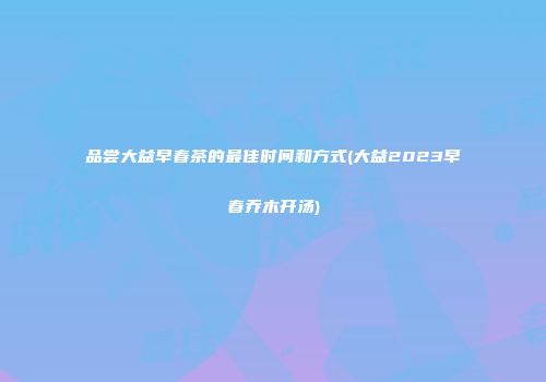 品尝大益早春茶的最佳时间和方式(大益2023早春乔木开汤)