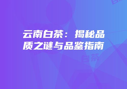 云南白茶：揭秘品质之谜与品鉴指南
