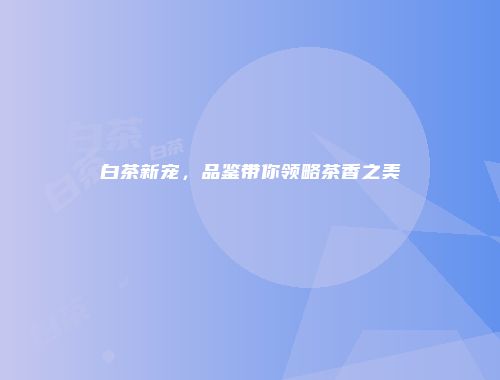 白茶新宠，品鉴带你领略茶香之美