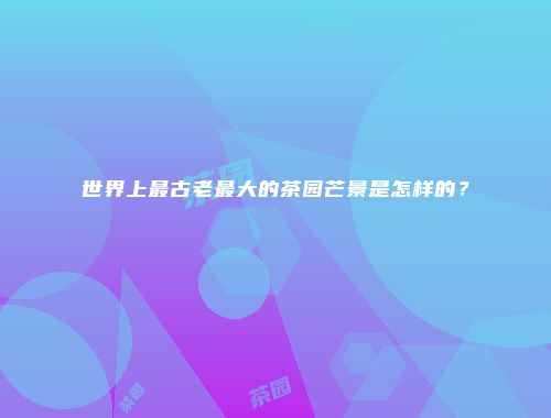 世界上最古老最大的茶园芒景是怎样的？