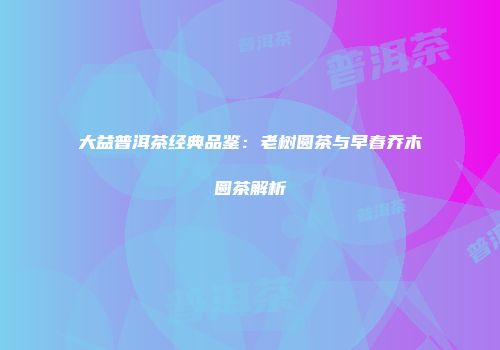大益普洱茶经典品鉴：老树圆茶与早春乔木圆茶解析