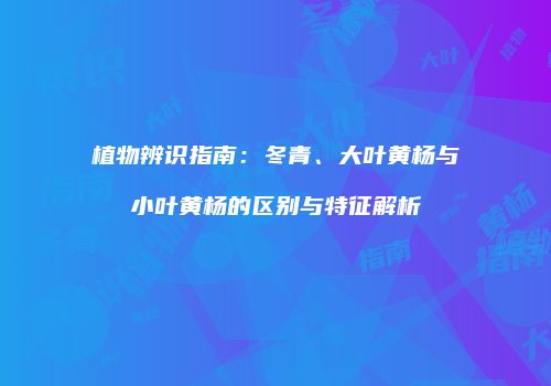 植物辨识指南：冬青、大叶黄杨与小叶黄杨的区别与特征解析