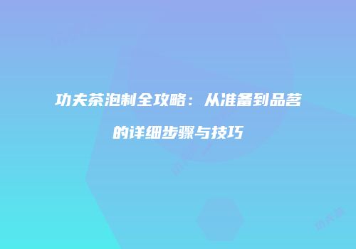 功夫茶泡制全攻略：从准备到品茗的详细步骤与技巧