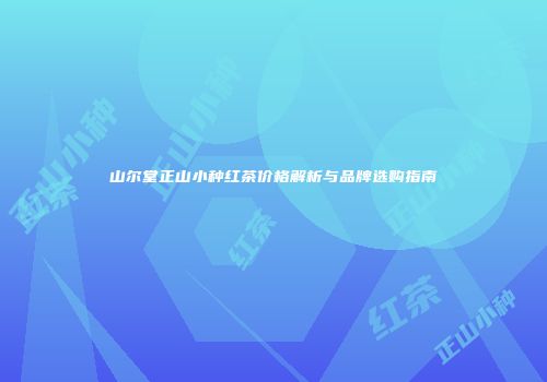 山尔堂正山小种红茶价格解析与品牌选购指南