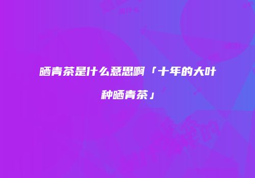 晒青茶是什么意思啊「十年的大叶种晒青茶」