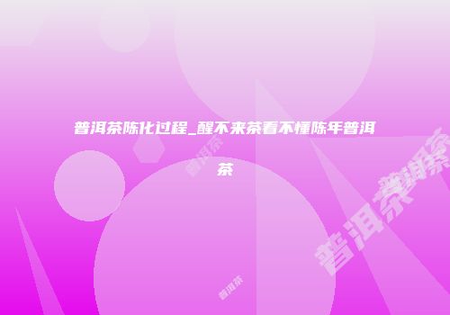 普洱茶陈化过程_醒不来茶看不懂陈年普洱茶