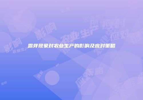 露芽现象对农业生产的影响及应对策略