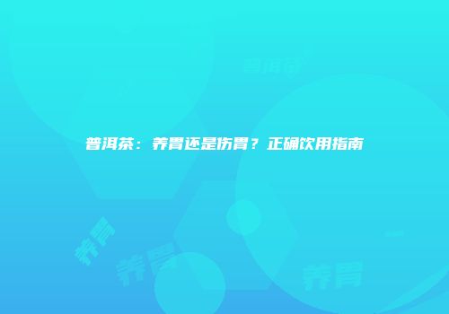 普洱茶：养胃还是伤胃？正确饮用指南