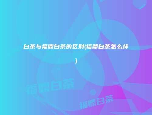 白茶与福鼎白茶的区别(福鼎白茶怎么样)