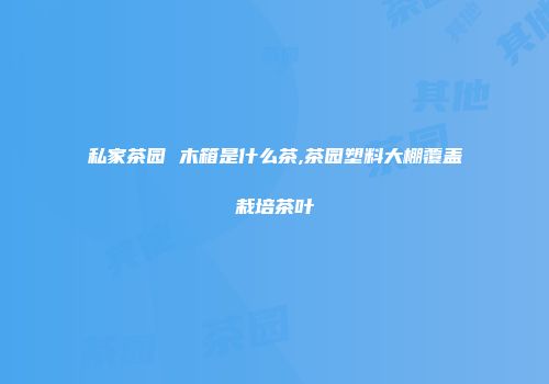 私家茶园 木箱是什么茶,茶园塑料大棚覆盖栽培茶叶