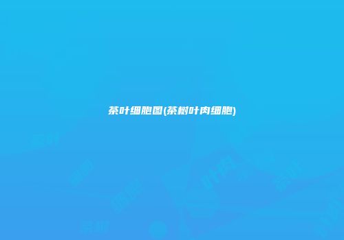 茶叶细胞图(茶树叶肉细胞)