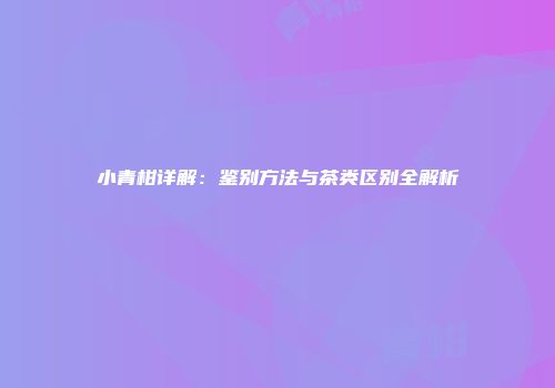 小青柑详解：鉴别方法与茶类区别全解析