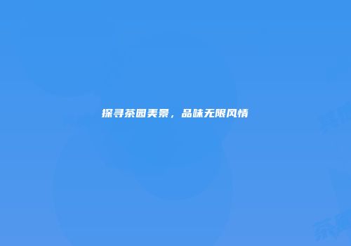 探寻茶园美景，品味无限风情