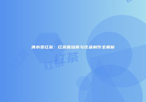 清水变红茶：红茶菌培育与饮品制作全解析
