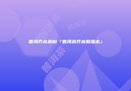 普洱乔木茶树「普洱茶乔木和灌木」