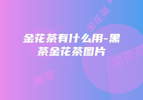金花茶有什么用-黑茶金花茶图片