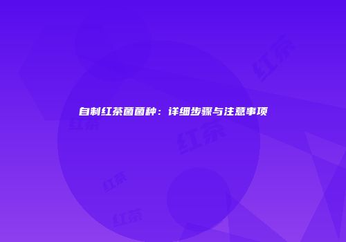 自制红茶菌菌种：详细步骤与注意事项