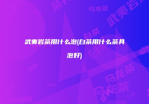 武夷岩茶用什么泡(白茶用什么茶具泡好)