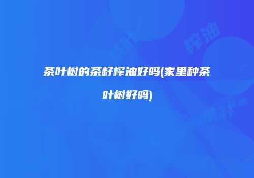 茶叶树的茶籽榨油好吗(家里种茶叶树好吗)