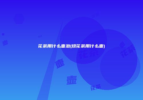 花茶用什么壶泡(烧花茶用什么壶)