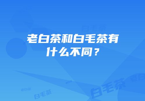 老白茶和白毛茶有什么不同？