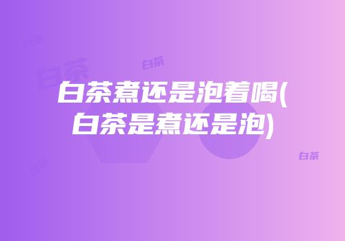 白茶煮还是泡着喝(白茶是煮还是泡)