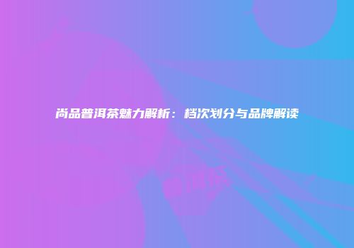 尚品普洱茶魅力解析：档次划分与品牌解读