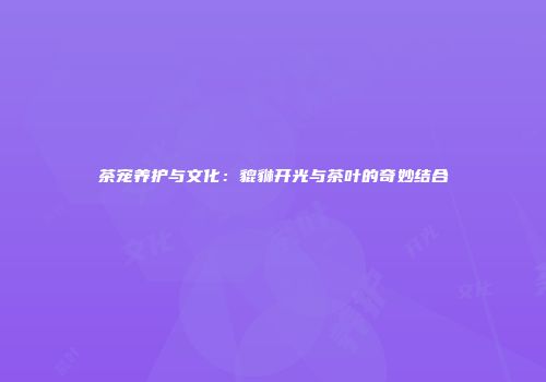 茶宠养护与文化：貔貅开光与茶叶的奇妙结合